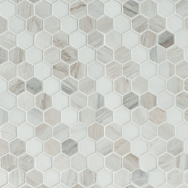 Agoura Marble Polished 1" Hexagon Zig-Zag Mosaic