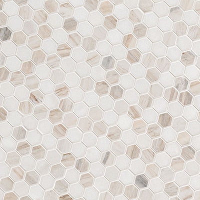 Agoura Marble Polished 1" Hexagon Mosaic