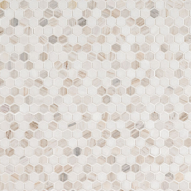 Agoura Marble Polished 1" Hexagon Mosaic