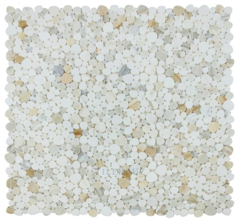 Aphrodite Calacatta Gold Polished 12 X Marble