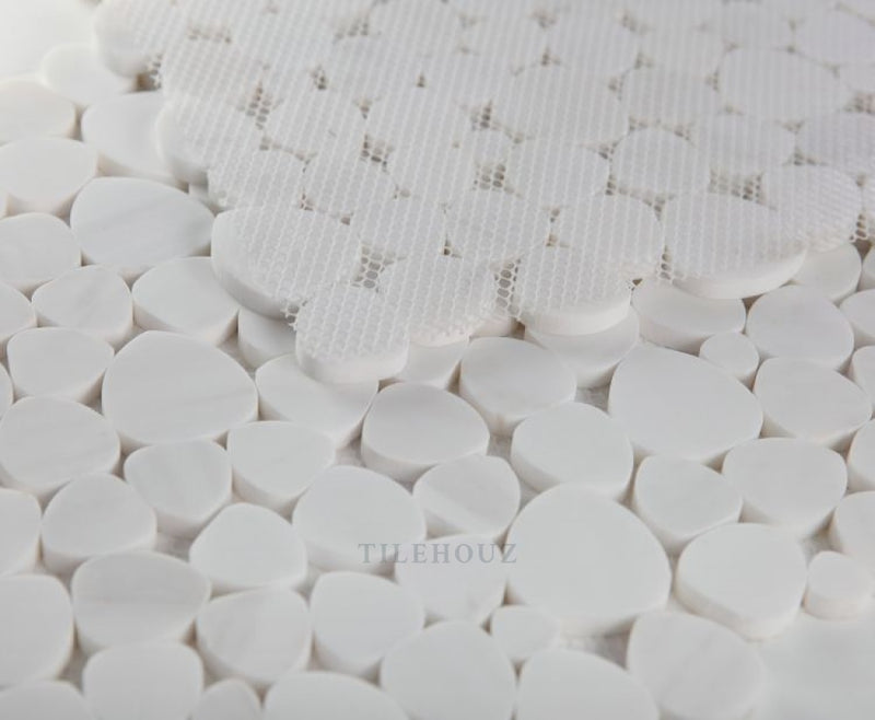 Aphrodite Dolomite Honed 12 X Marble