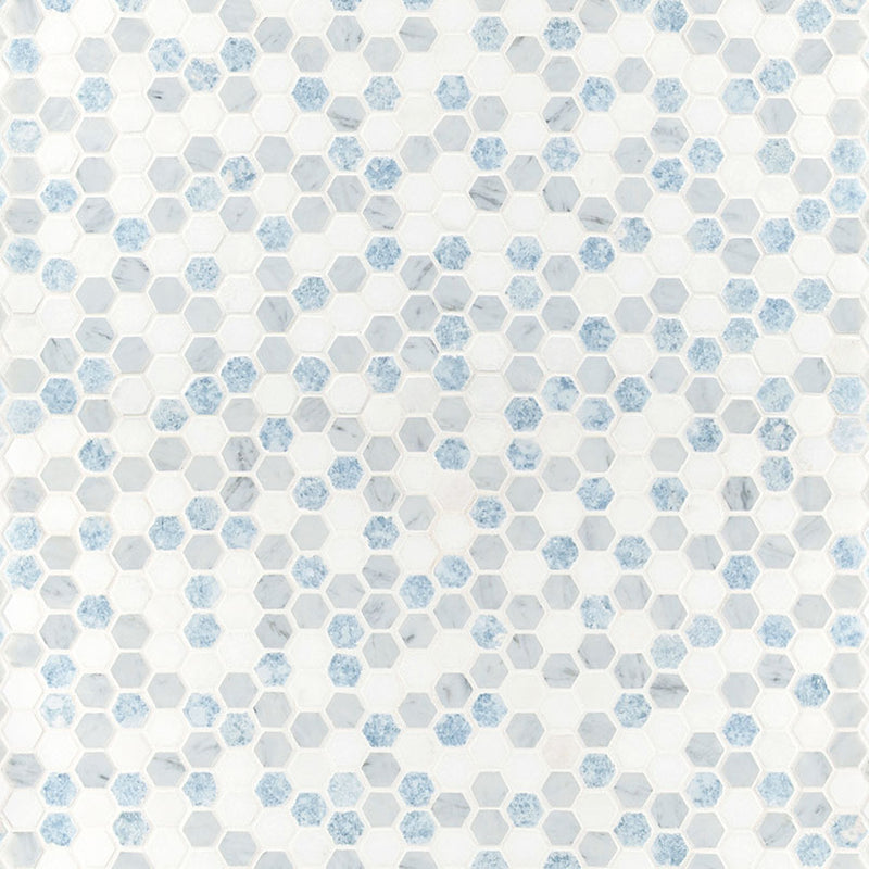 Azula 1” Hexagon Polished Mosaic