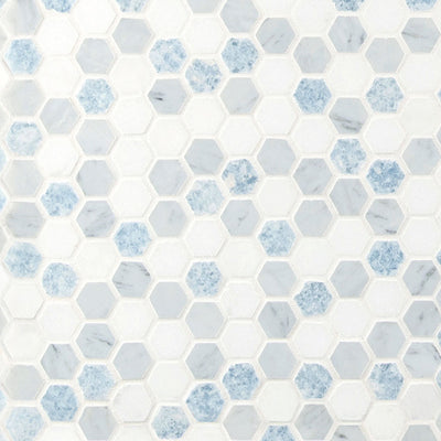 Azula 1” Hexagon Polished Mosaic