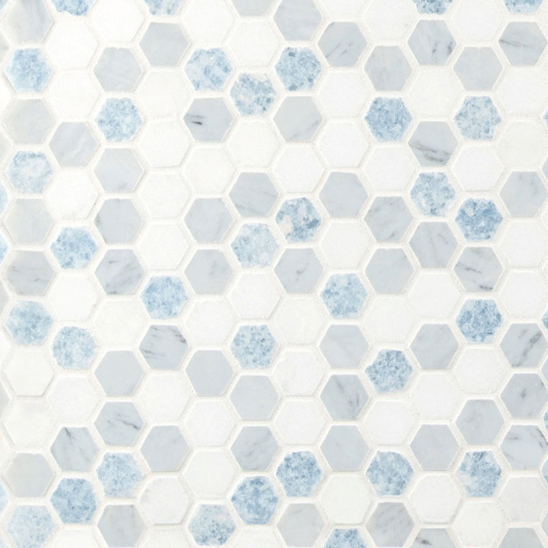 Azula 1” Hexagon Polished Mosaic