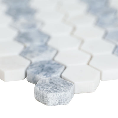 Azula Sazi 1” Hexagon Polished Mosaic