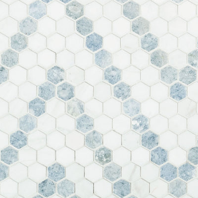 Azula Sazi 1” Hexagon Polished Mosaic