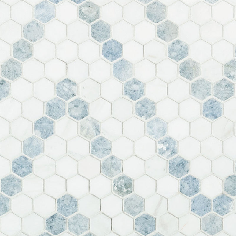 Azula Sazi 1” Hexagon Polished Mosaic