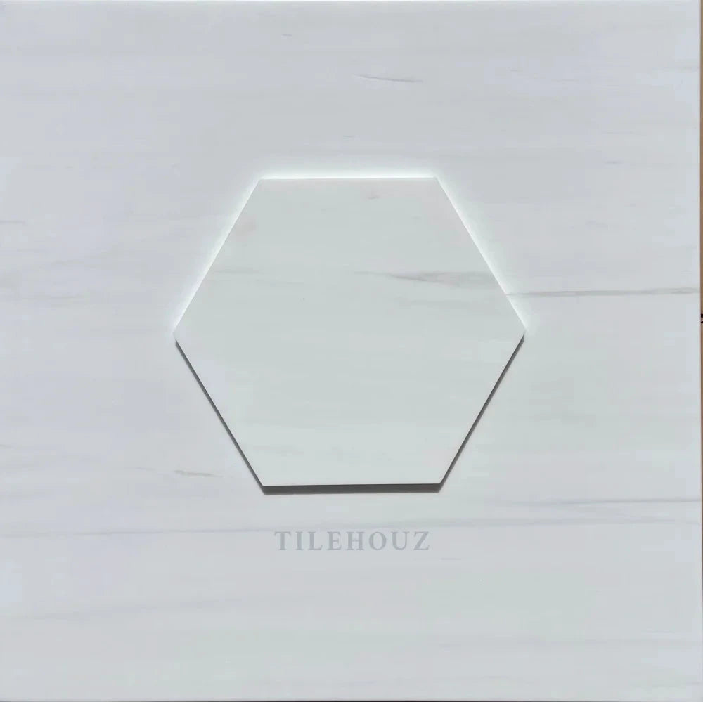 Tilehouz Bianco Dolomite 10-inch hexagon marble tile, polished/honed