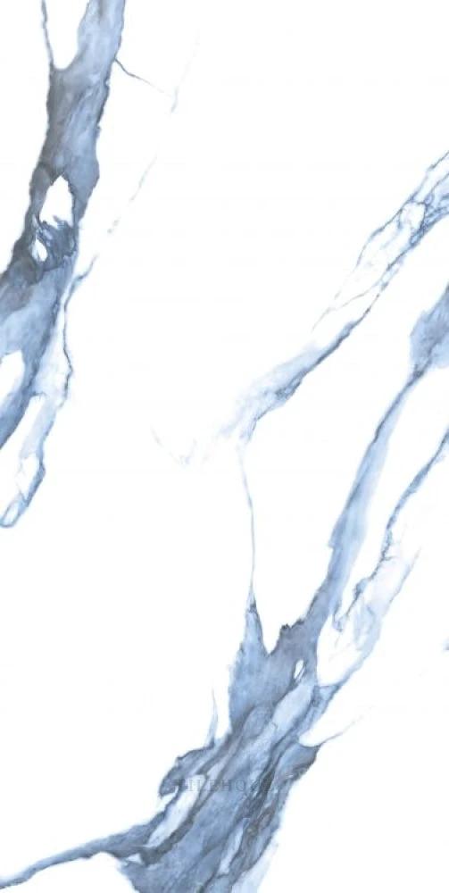 Calacatta Blue Matte porcelain tile 24 x 48 wall tile by Tilehouz