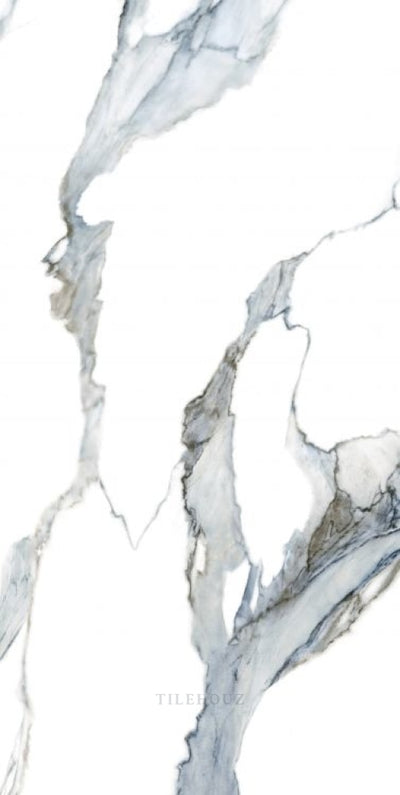 Calacatta Fantasy Acqua Polished 24 X 48 Porcelain Tiles