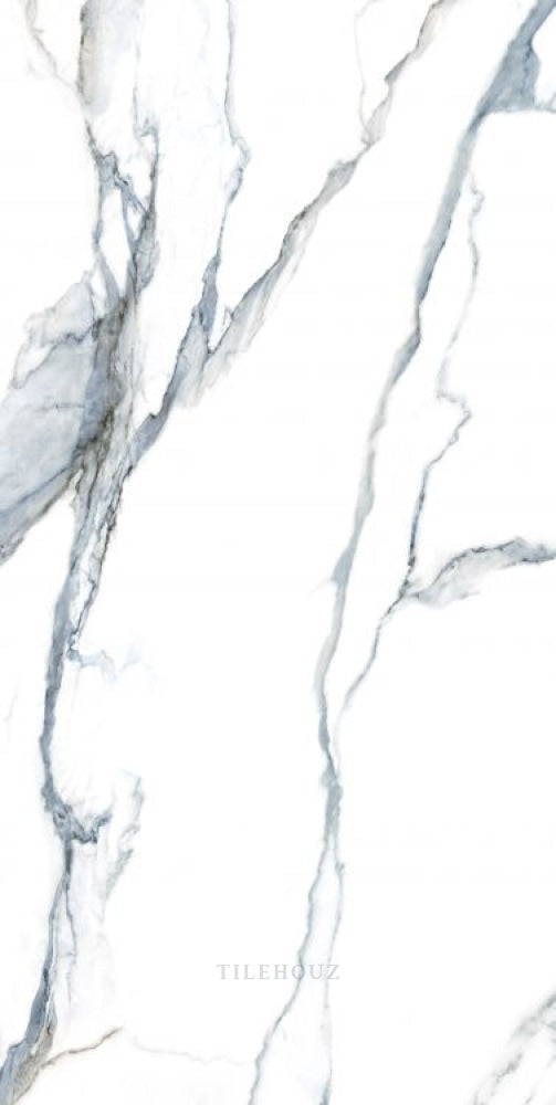 Calacatta Fantasy Acqua Polished 24 X 48 Porcelain Tiles