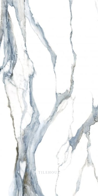 Calacatta Fantasy Acqua Polished 24 X 48 Porcelain Tiles