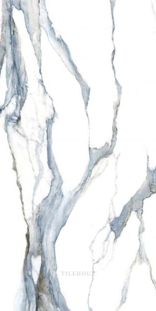 Calacatta Fantasy Acqua Polished 24 X 48 Porcelain Tiles