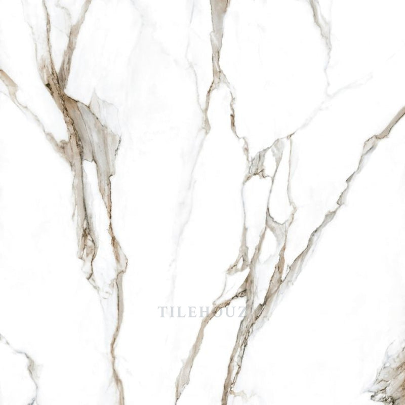 Calacatta Fantasy Topo Polished 48 X Porcelain Tiles
