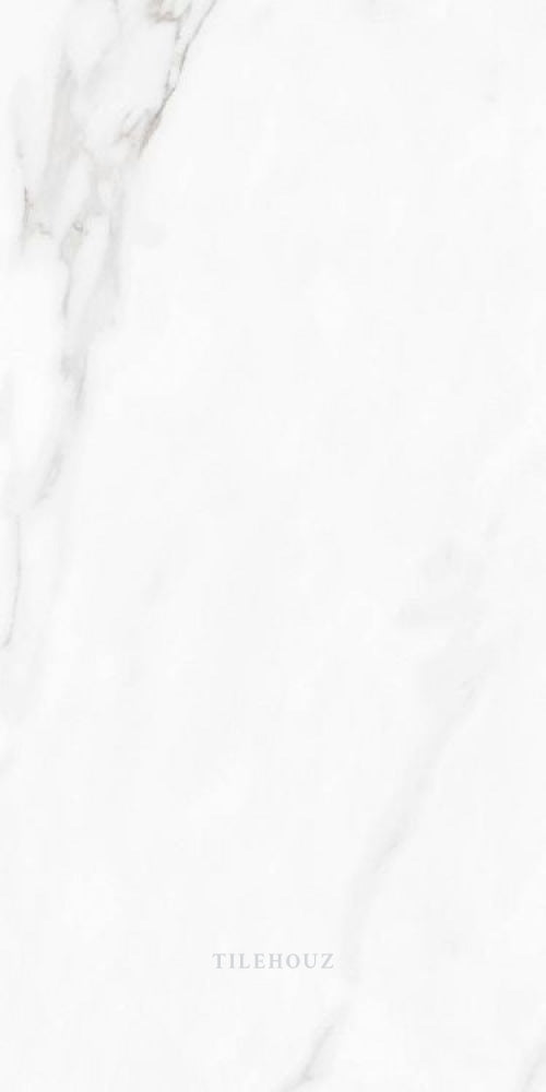 Carenza Bianca Polished 12 X 24 Porcelain Tiles