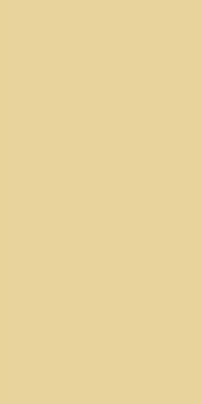 CRAYONS BUTTERCREAM PORCELAIN TILE 16X48