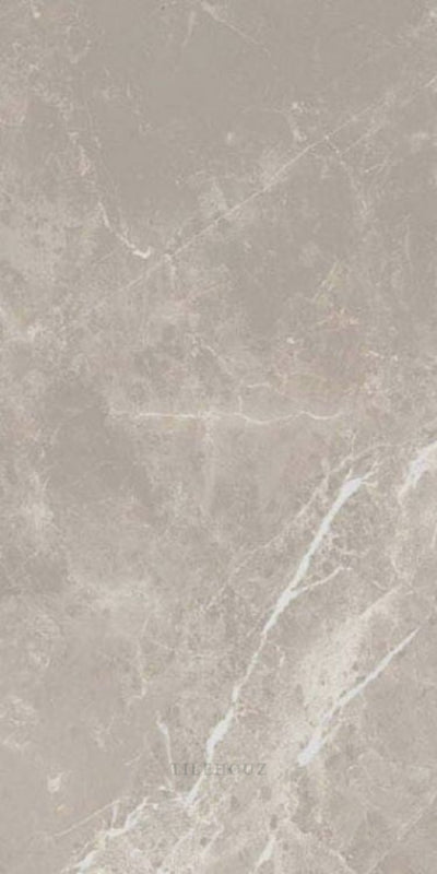 Dolomia Grey Luc 12 X 24 Porcelain Tiles