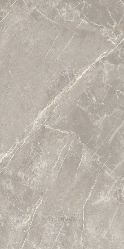 Dolomia Grey Nat 24 X 48 Porcelain Tiles