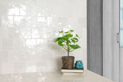 RENZO DOVE 5X5 GLOSSY CERAMIC WALL TILE