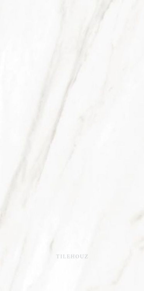 Ec Calacatta Gold Matte 12 X 24 Porcelain Tiles