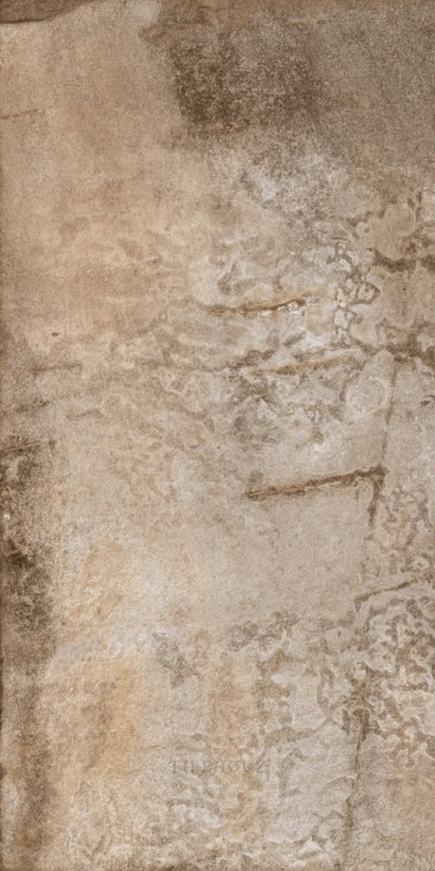 Hcl Climb 9 - Noce 12 X 24 Porcelain Tiles