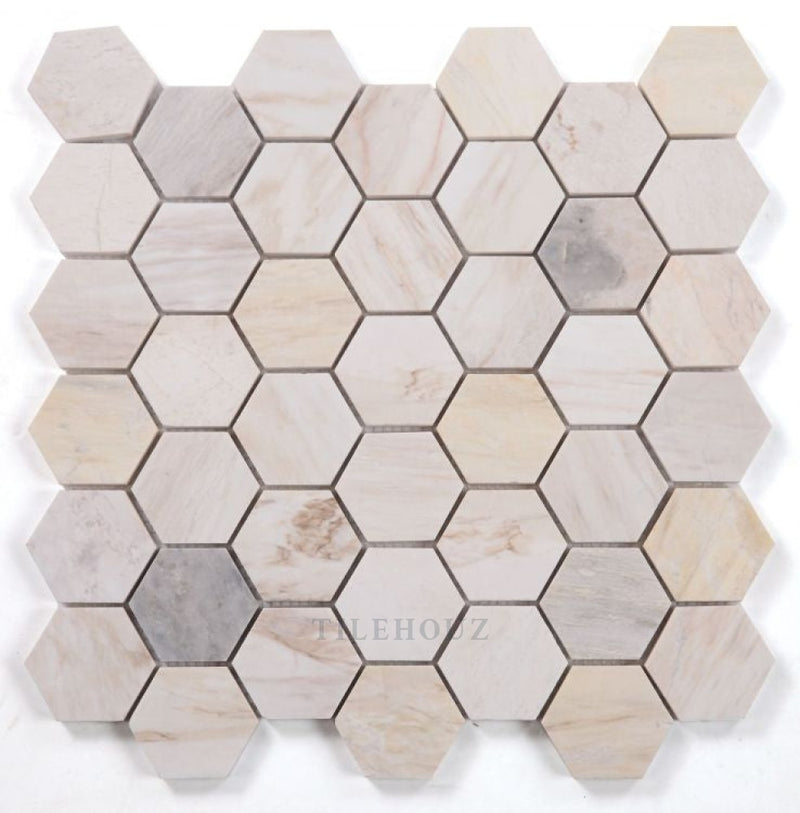 Hexagon 2 X Eurasian Marble Mosaic 11.75 12