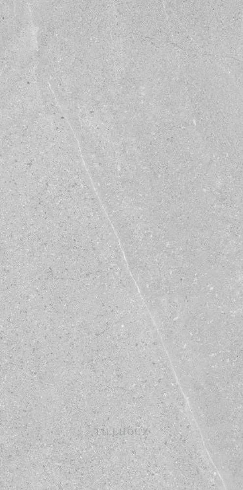 Madison Argent 12x24 porcelain tile, light gray with subtle veining, Tilehouz