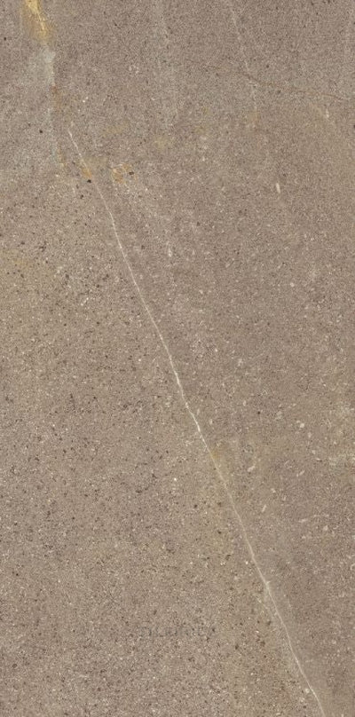 Madison Noce 12 X 24 Porcelain Tiles