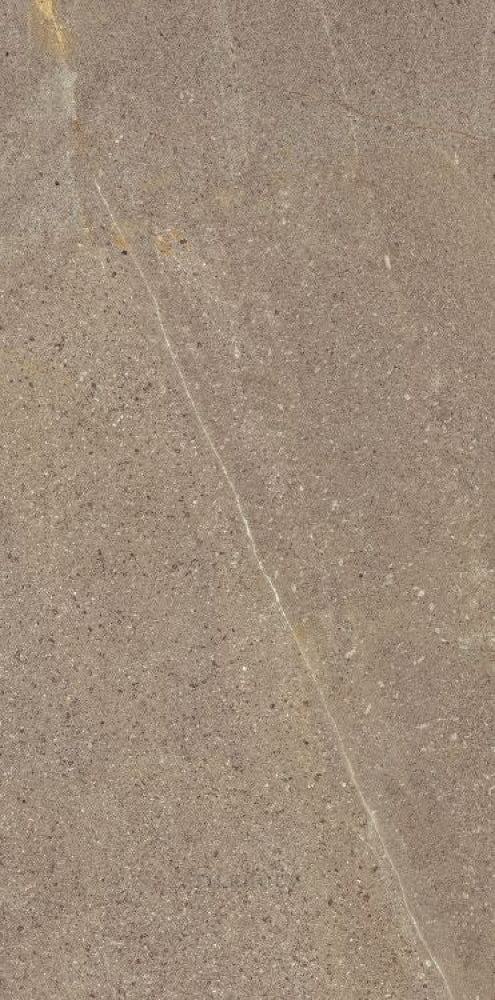 Madison Noce 12 X 24 Porcelain Tiles