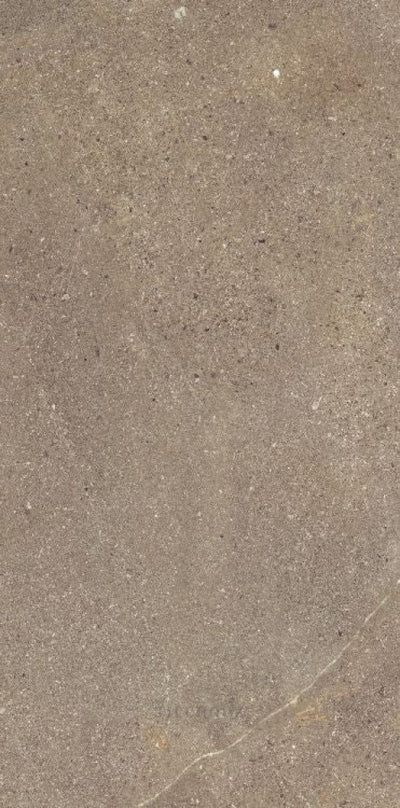 Madison Noce 12 X 24 Porcelain Tiles