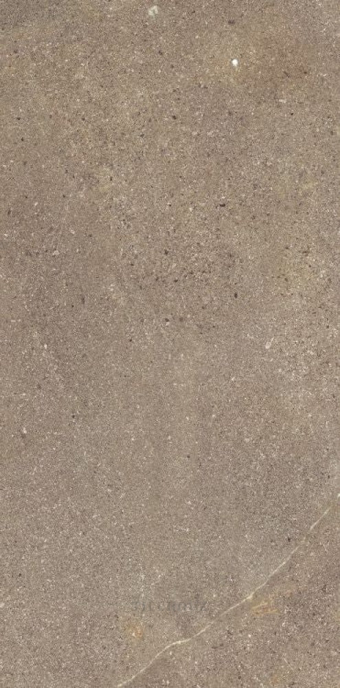 Madison Noce 12 X 24 Porcelain Tiles