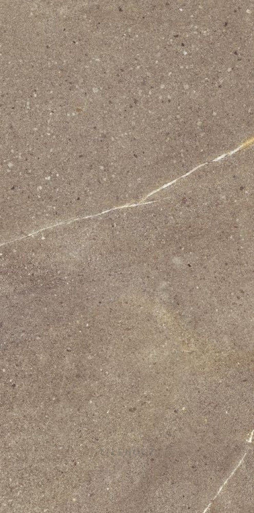 Madison Noce 12 X 24 Porcelain Tiles