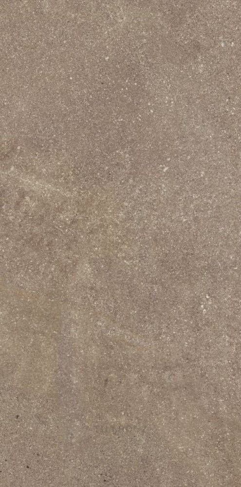 Madison Noce 12 X 24 Porcelain Tiles