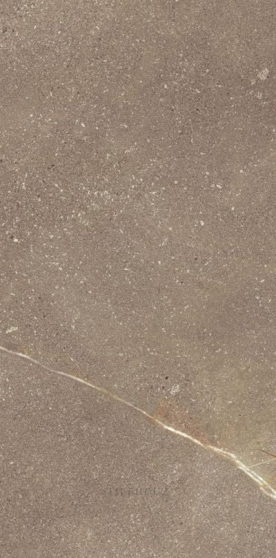 Madison Noce 12 X 24 Porcelain Tiles