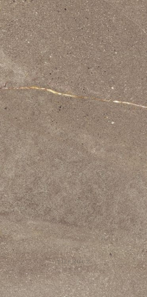 Madison Noce 12 X 24 Porcelain Tiles