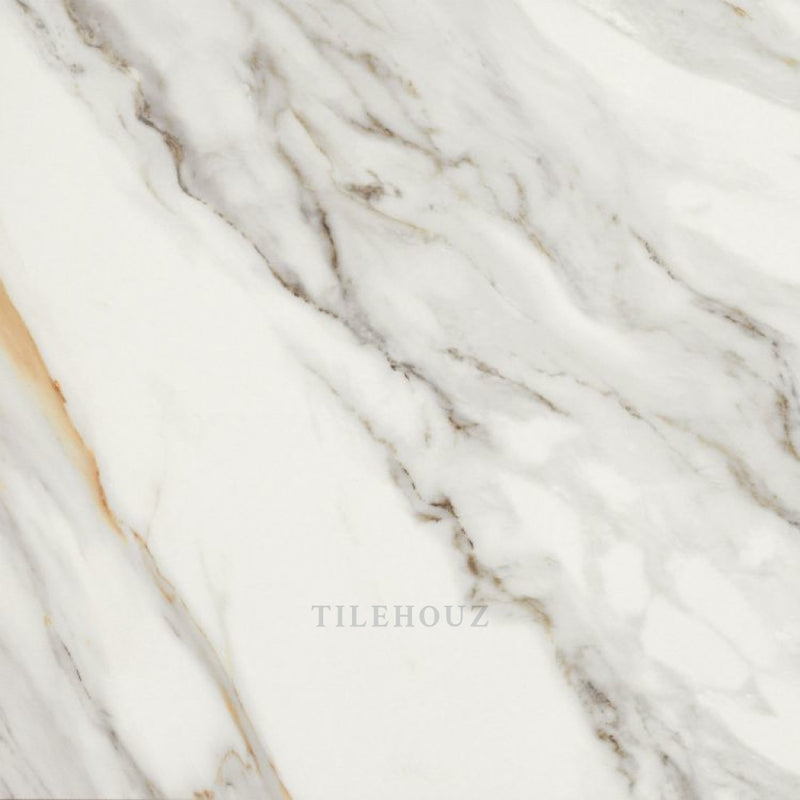 Marmi Macchiavecchia Levigato 24 X Porcelain Tiles