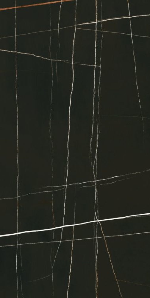 Noir Black Polished 24 X 48 Porcelain Tiles