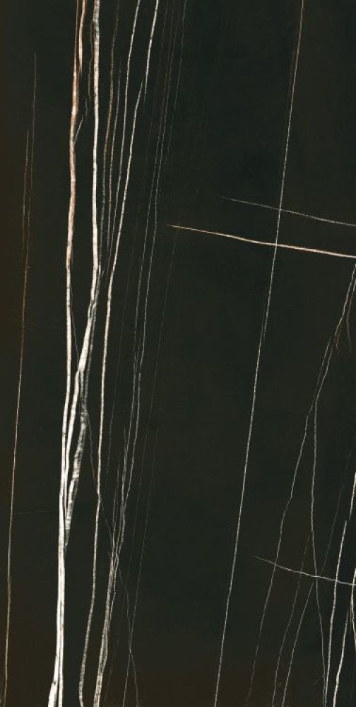 Noir Black Polished 24 X 48 Porcelain Tiles