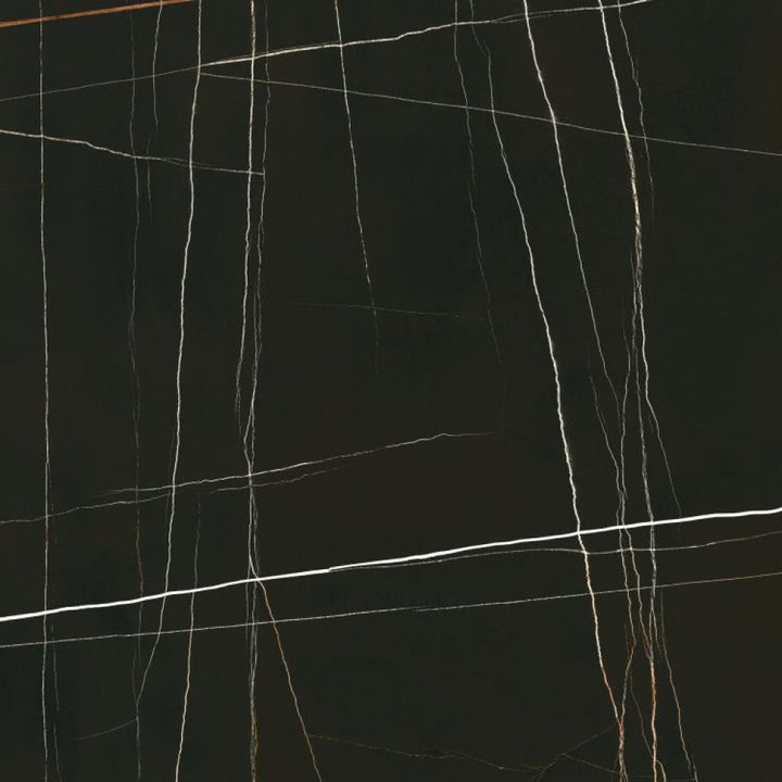Noir Black porcelain tile 48x48 with white veining