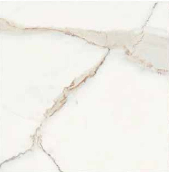 CALACATTA PURE PORCELAIN TILE 12X24 MATTE