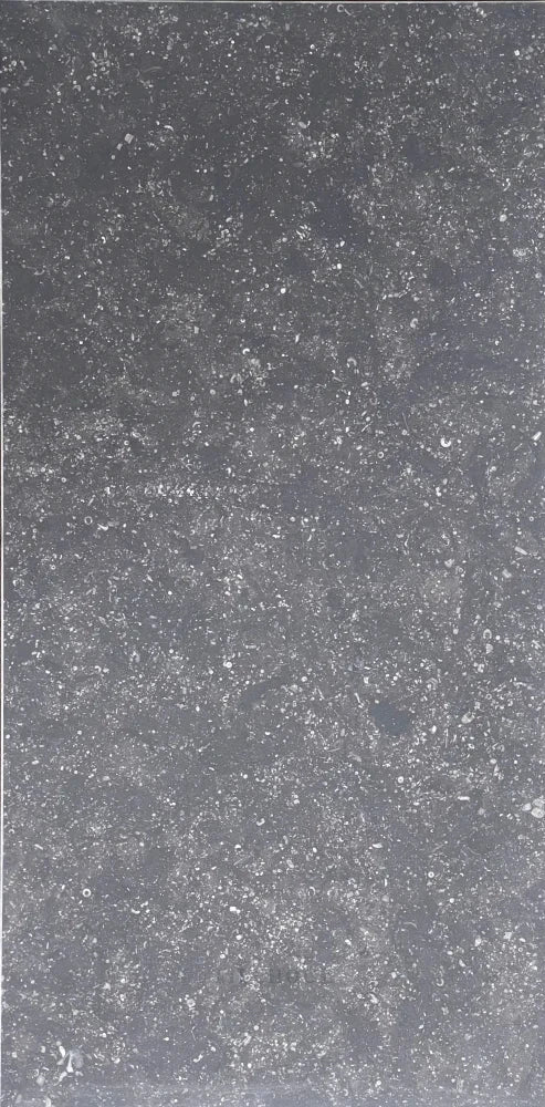 Pierre Bleu Belgian Bluestone limestone 12x24 brushed tile, wall &amp; ceiling tile by Tilehouz