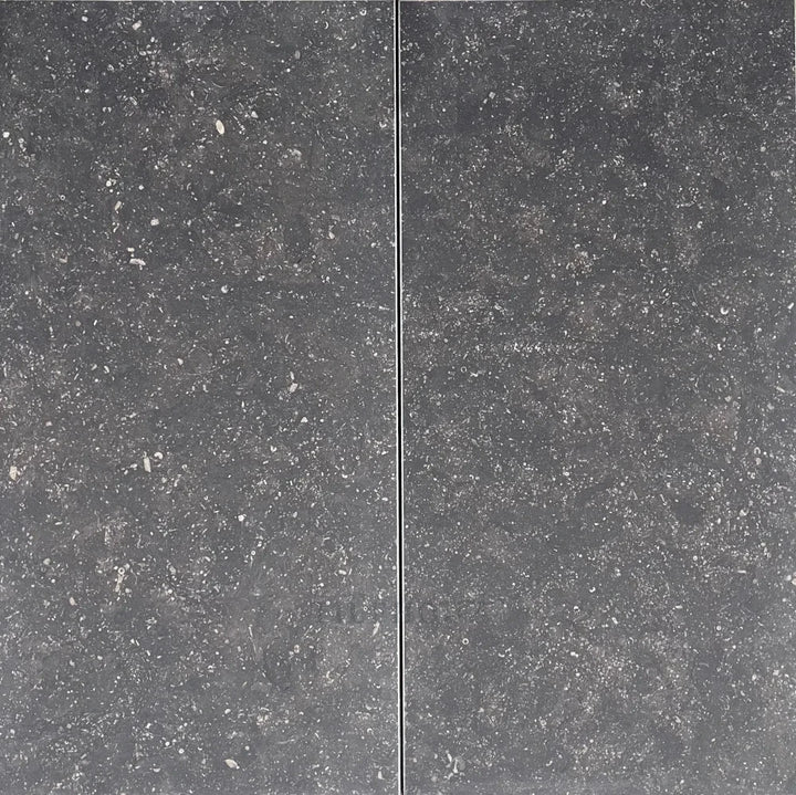 Pierre Bleu Belgian Bluestone limestone 12x24 brushed wall tile, blue-gray, Tilehouz (2 tiles)