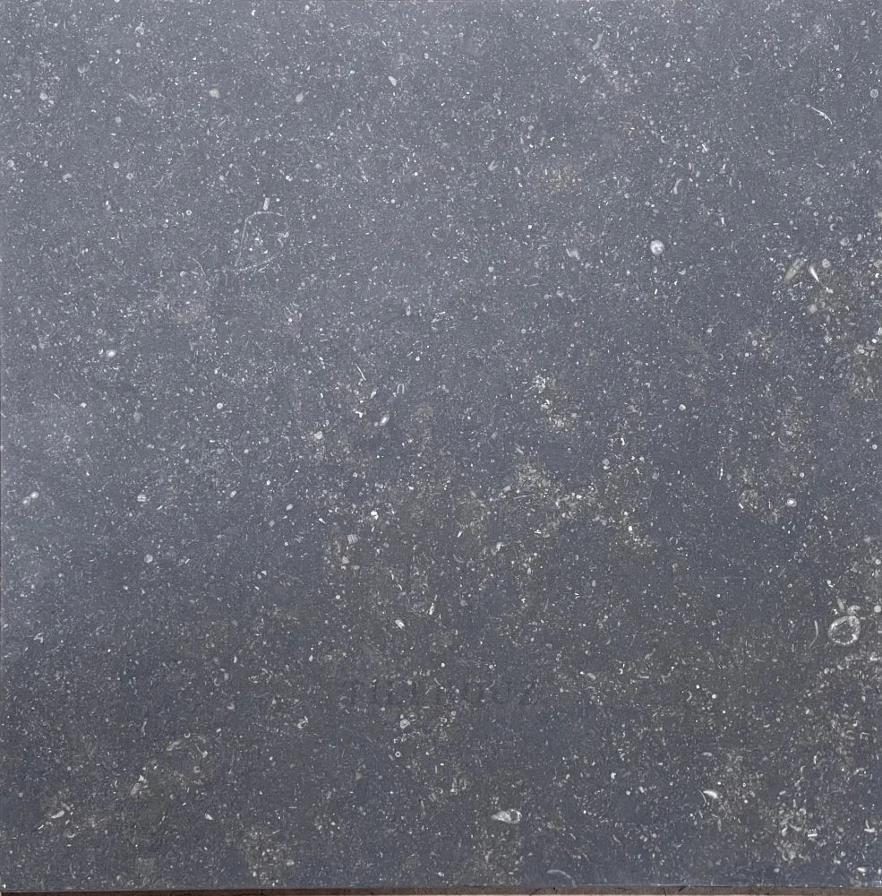 Pierre Bleu Belgian Bluestone limestone 18x18 tile, dark graphite, honed, Tilehouz