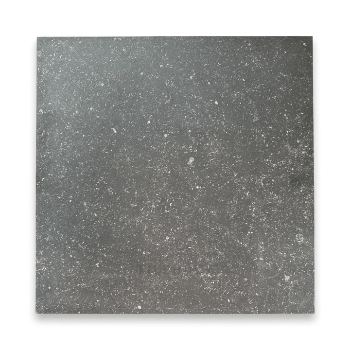 Pierre Bleu Belgian Bluestone limestone 18x18 honed tile in dark graphite color