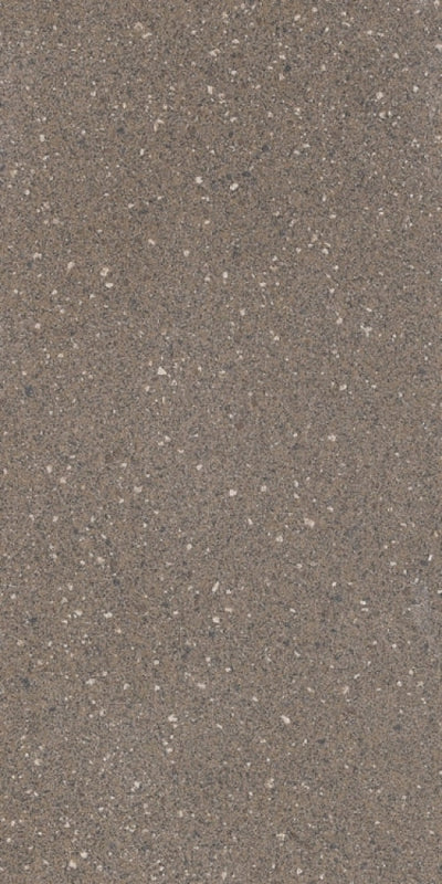 Rock 2010E 12 X 24 Porcelain Tiles