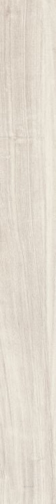 Soft Sugar 8 X 71 Porcelain Tiles