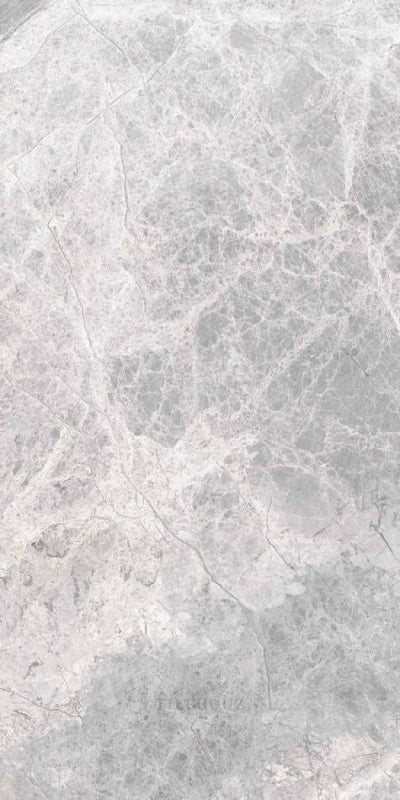 Supreme Silver Levigato (R/L) 12 X 24 Porcelain Tiles
