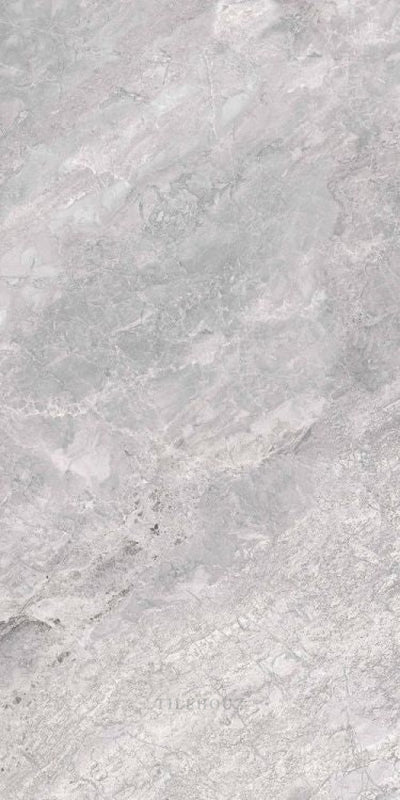 Supreme Silver Levigato (R/L) 12 X 24 Porcelain Tiles