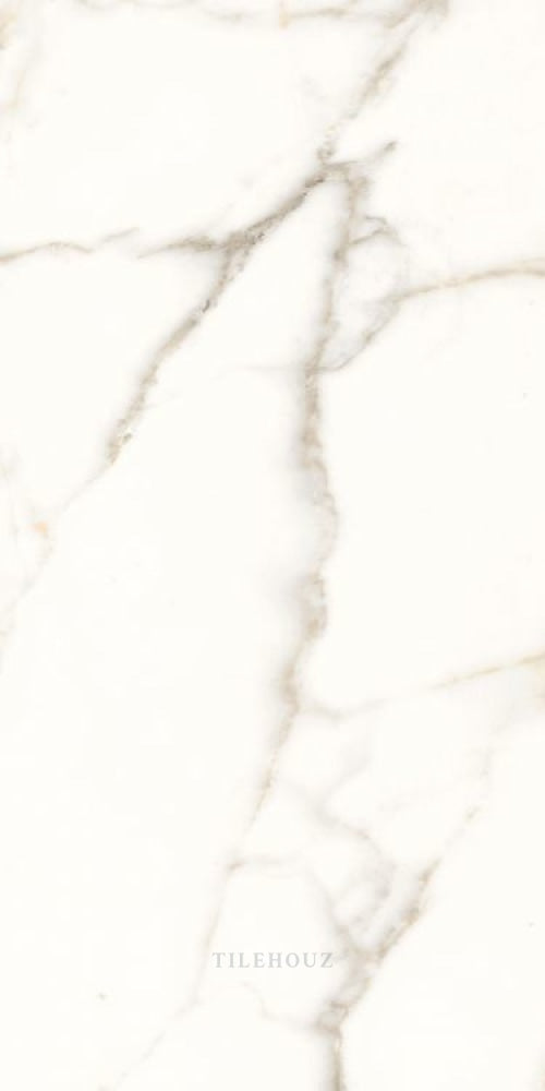 Trilogy Calacatta White Lux 24 X 48 Porcelain Tiles