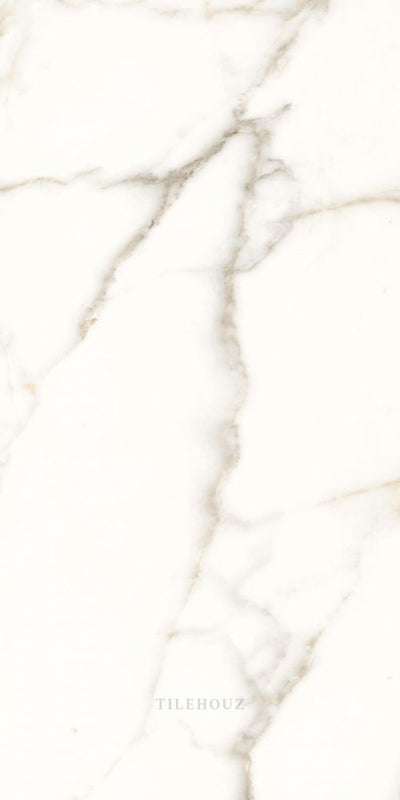 Trilogy Calacatta White Soft 12 X 24 Porcelain Tiles